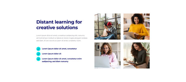 Learnex - Uzaktan Eğitim Öğrenme Kursları Elemen Learnex - Uzaktan Eğitim Öğrenme Kursları Elemen