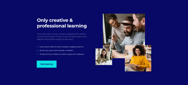 Learnex - Uzaktan Eğitim Öğrenme Kursları Elemen Learnex - Uzaktan Eğitim Öğrenme Kursları Elemen