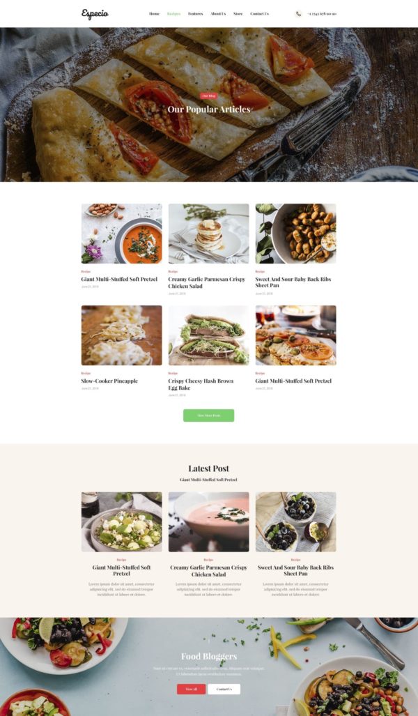 Especio - Food Blog Elementor Şablon Kiti Especio - Food Blog Elementor Şablon Kiti