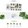 Plantsy - Ev Bitkileri Elementor Şablon Kiti Plantsy - Ev Bitkileri Elementor Şablon Kiti
