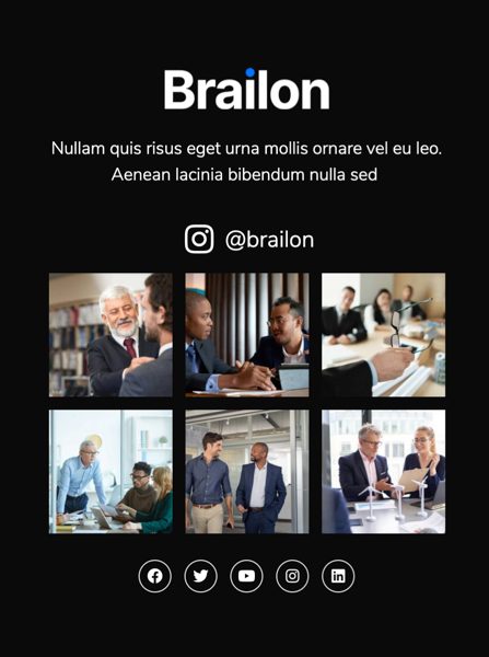 Brailon - Çok Amaçlı Elementor Şablon Kiti Brailon - Çok Amaçlı Elementor Şablon Kiti