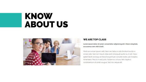 Topclass - İş Ajansı Şablon Kiti