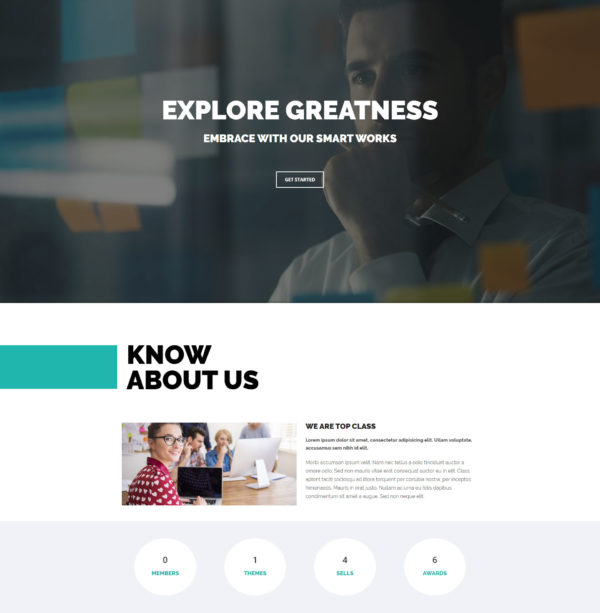 Topclass - İş Ajansı Şablon Kiti